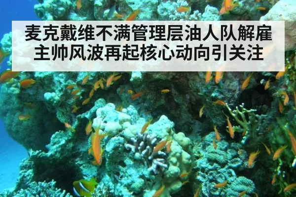 麦克戴维不满管理层油人队解雇主帅风波再起核心动向引关注